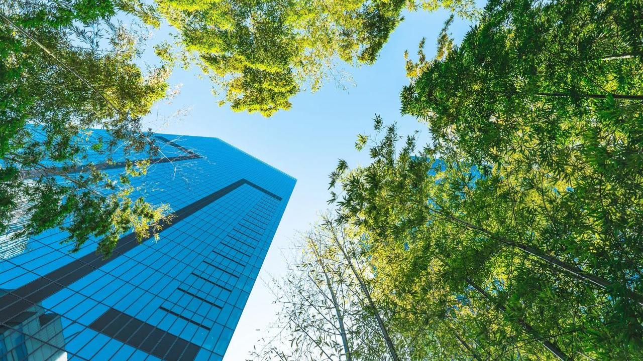 skyscrapers