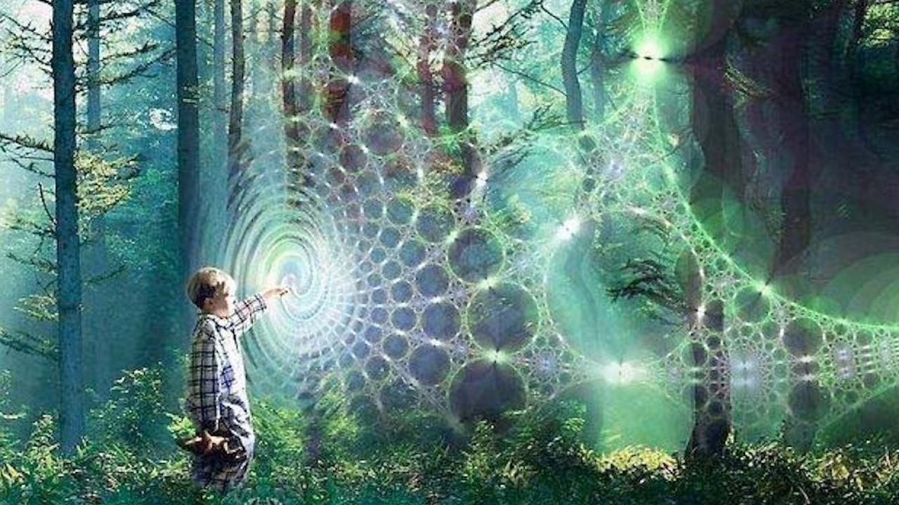 artistic representation of a child reaching out to touch a web of light in a forest