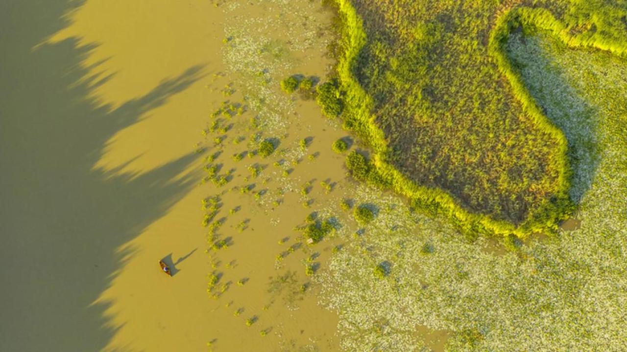 Aerial view of a person in a small boat on a mucky waterway.