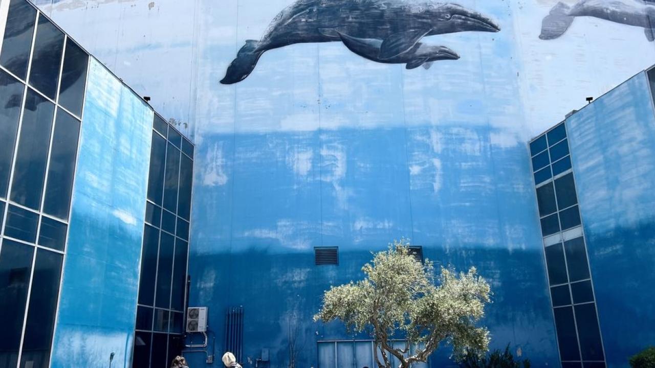 A whale painted on an exterior wall of a building 