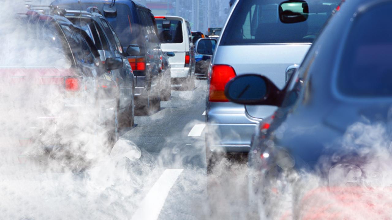 cars in traffic