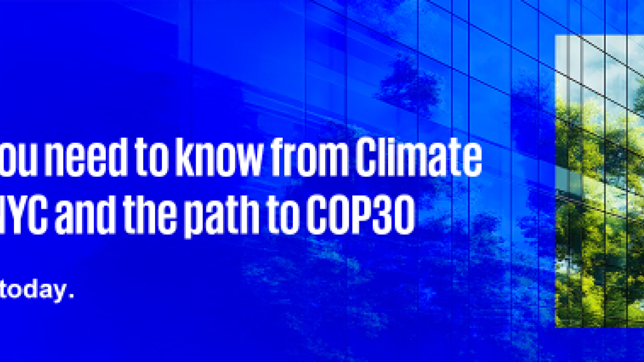 "What You Need To Know From Climate Week NYC and the Path to COP30"