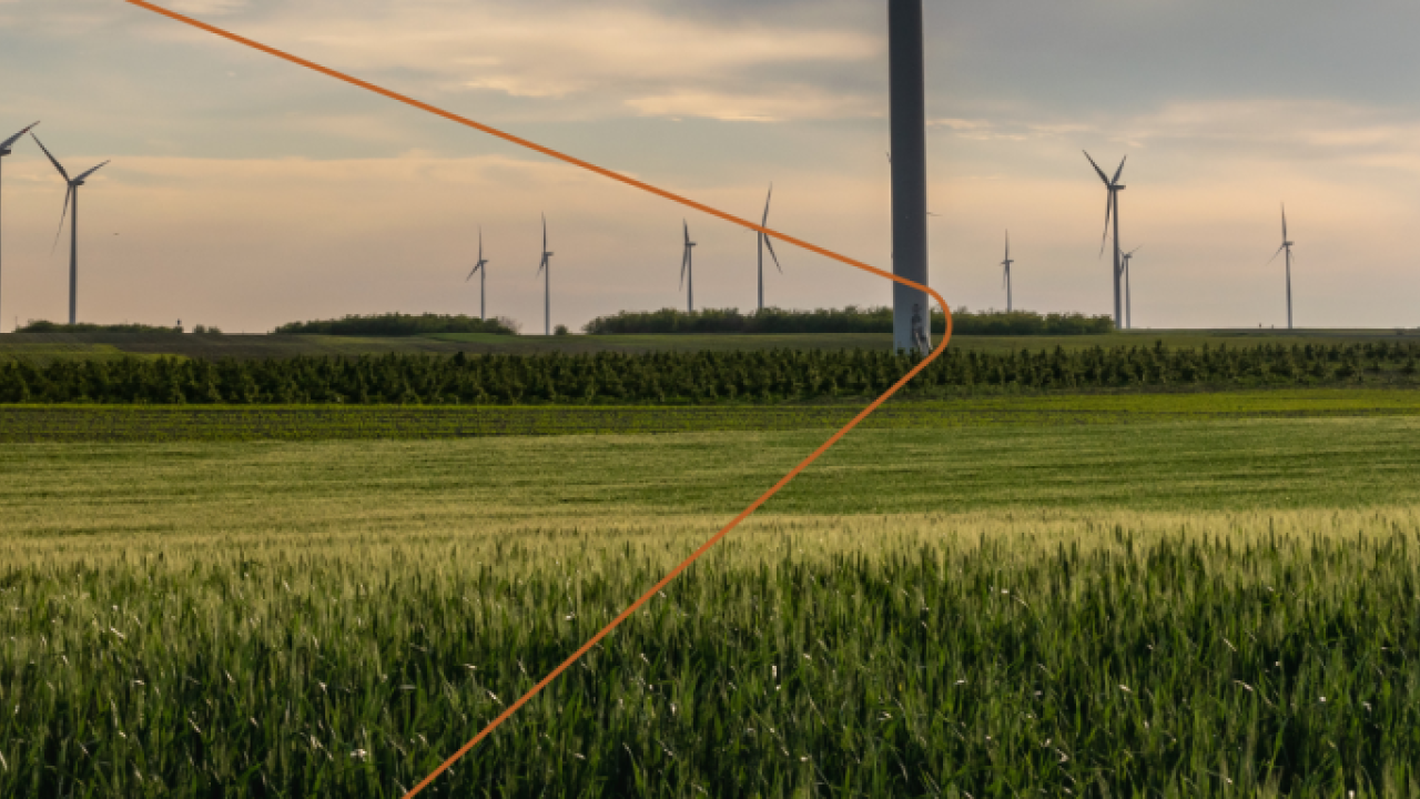 a large group of wind turbines in a field of wheat
