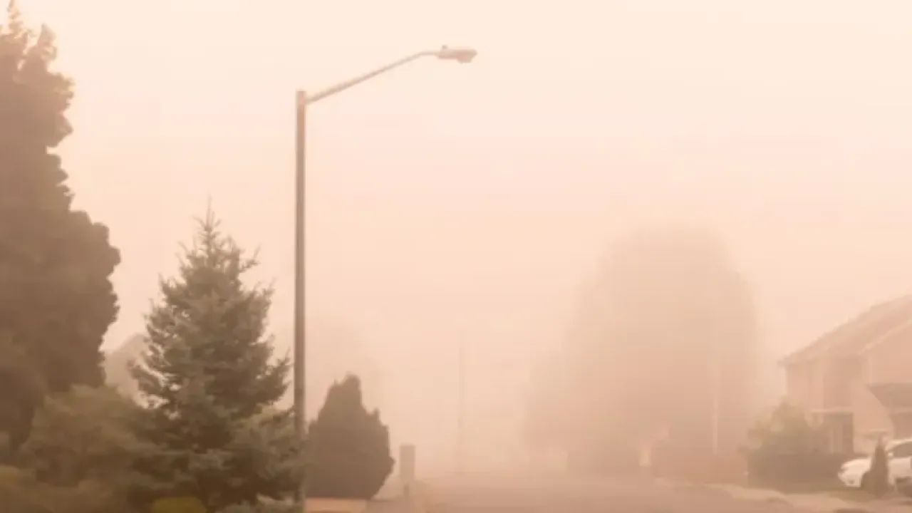 smoke from wildfires on suburban street