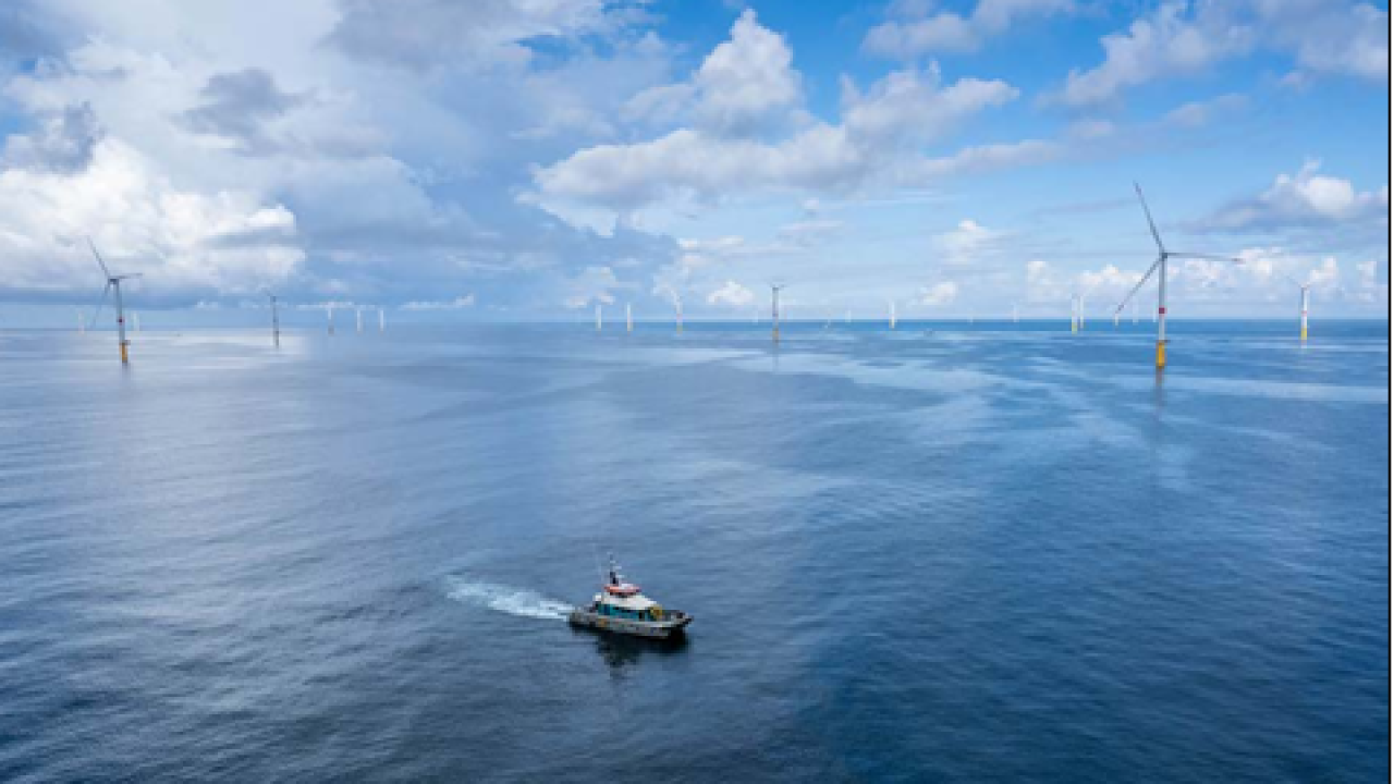 Boat in the ocean surrounded by wind turbines