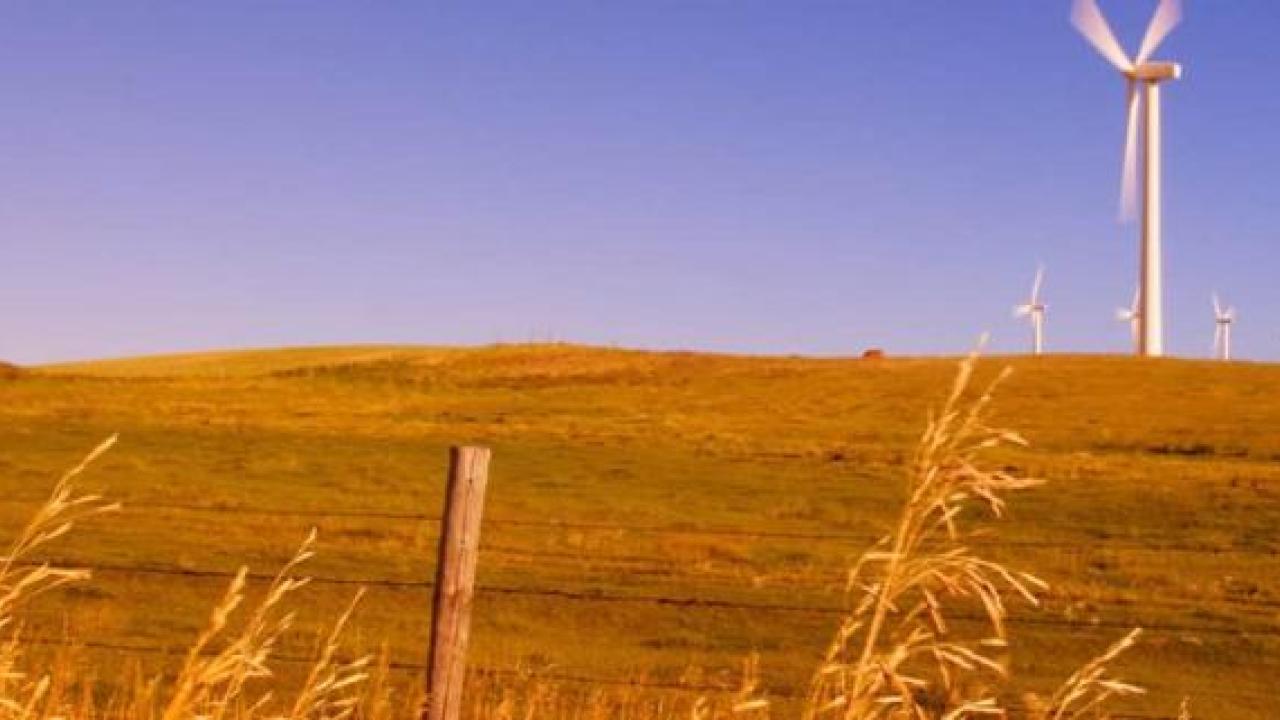 Wind turbines in a field
