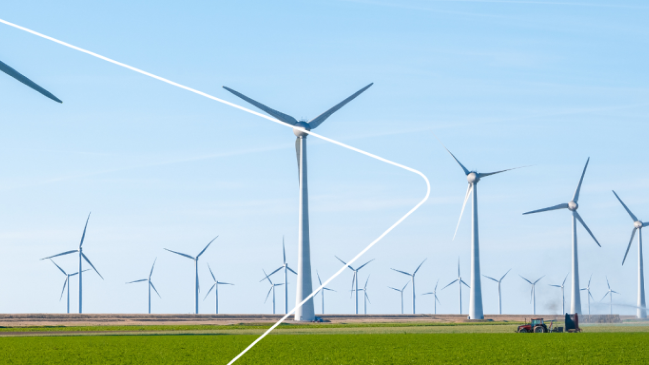 Rows of wind turbines in a large open field.