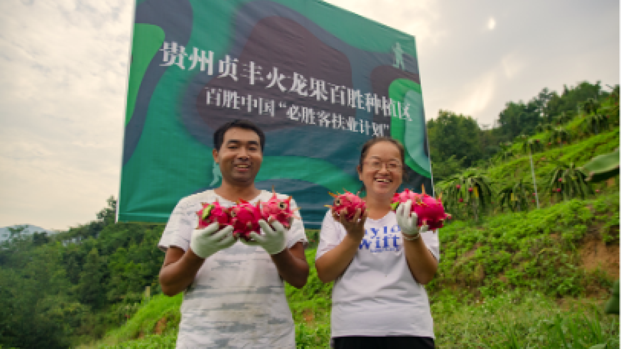 2 people holding dragonfruits