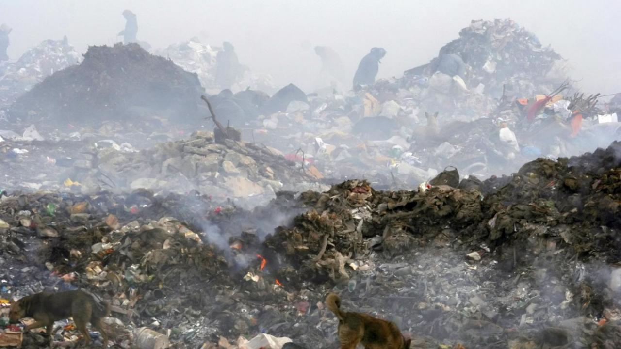 landfill