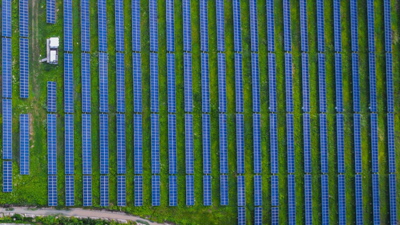 Aerial shot of solar panels in field