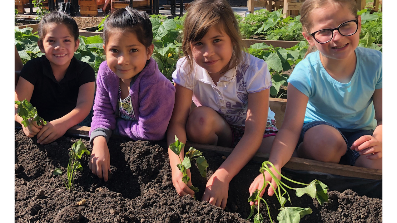 children working on a garden