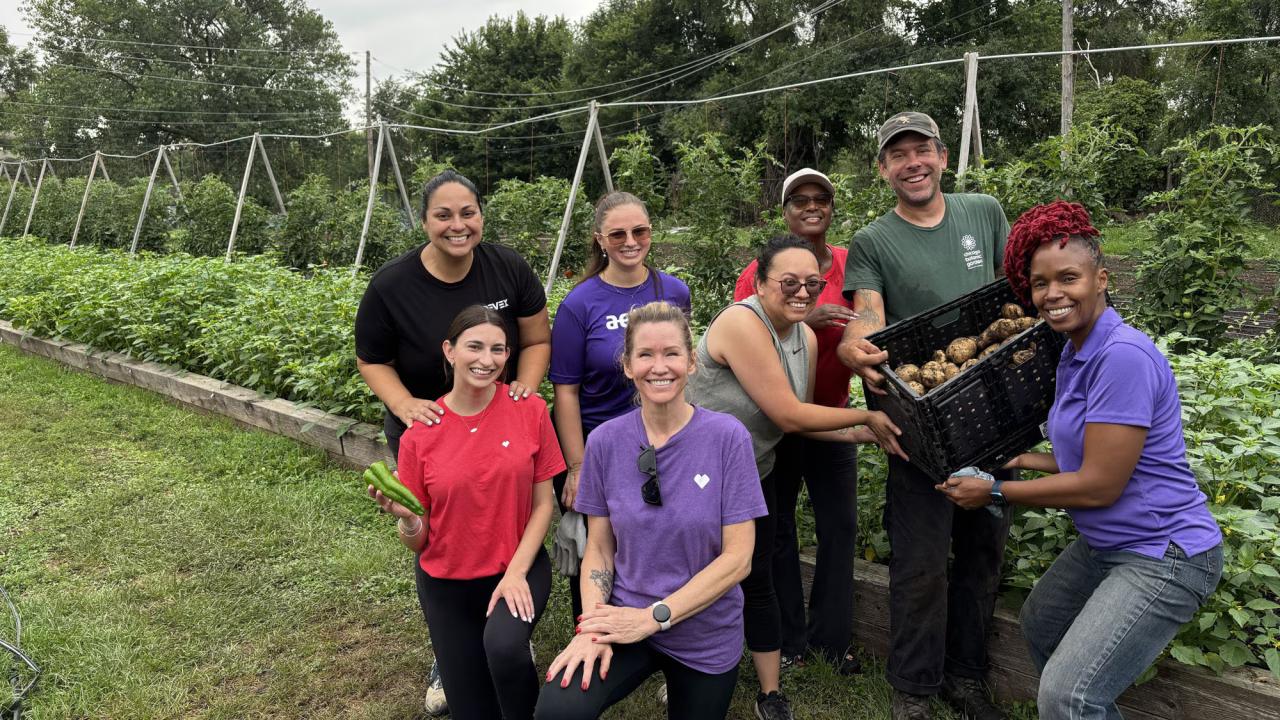 CVS Health volunteers shown with a harvest of potatoes.