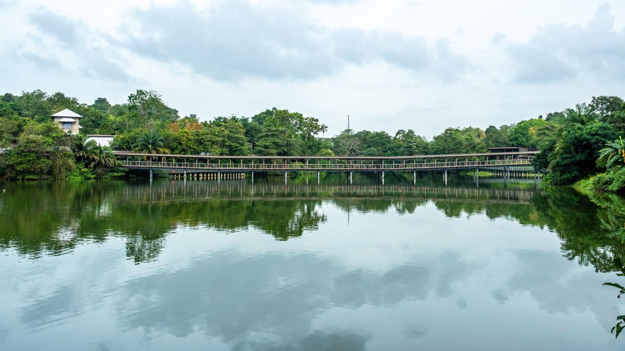 Mandai Wildlife Center