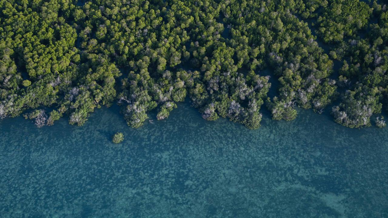 Pate Island. Credit: Roshni Lodhia