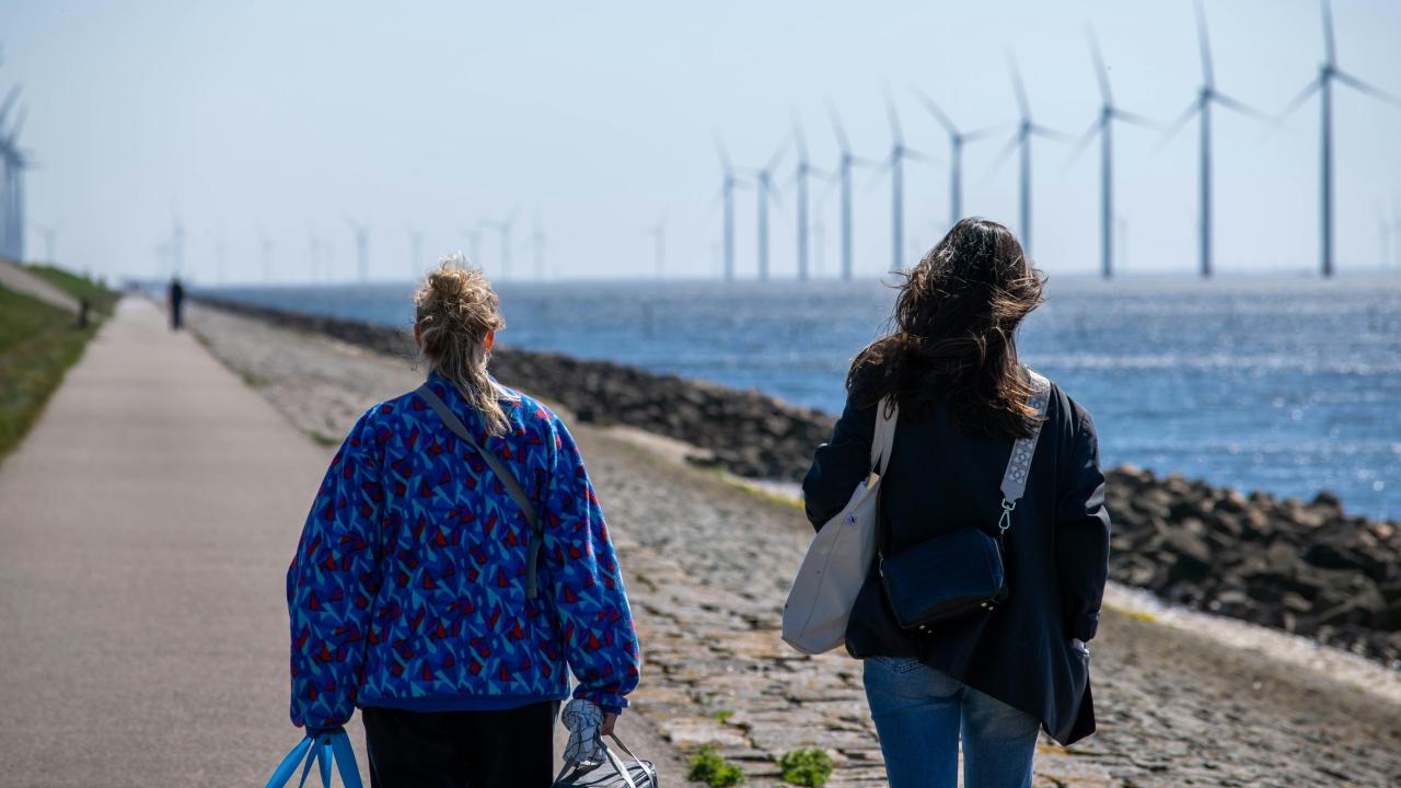 people walking by windmills