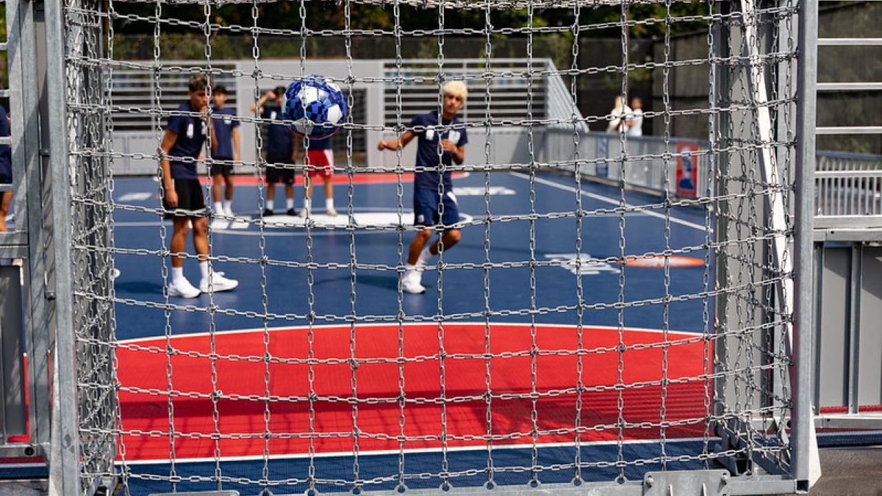 Harrison Mini Pitch