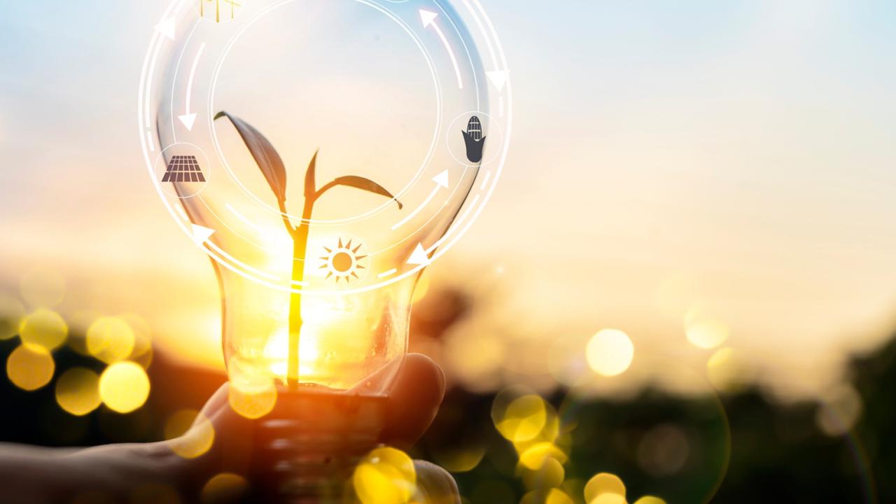 Visualization of lightbulb with plant growing in the middle