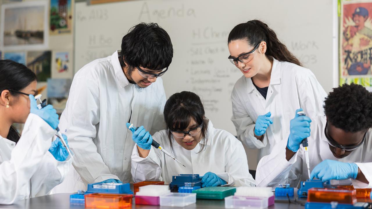 students working together on experiments