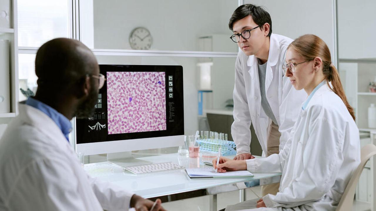people working together in a lab