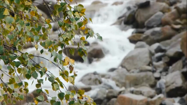 MARTINI_Hydropower